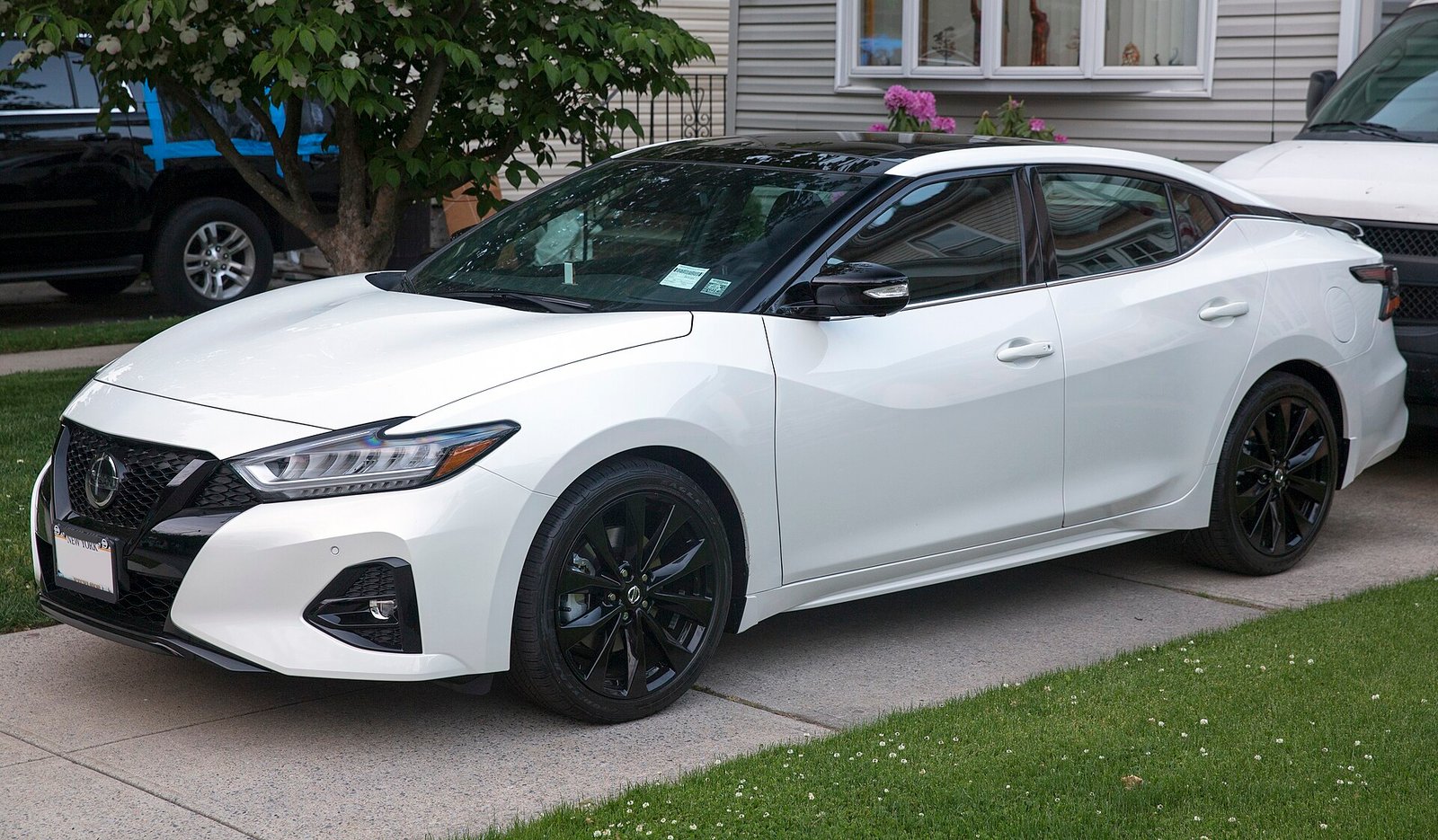Nissan Maxima transmission help exact nissan maxima exterior